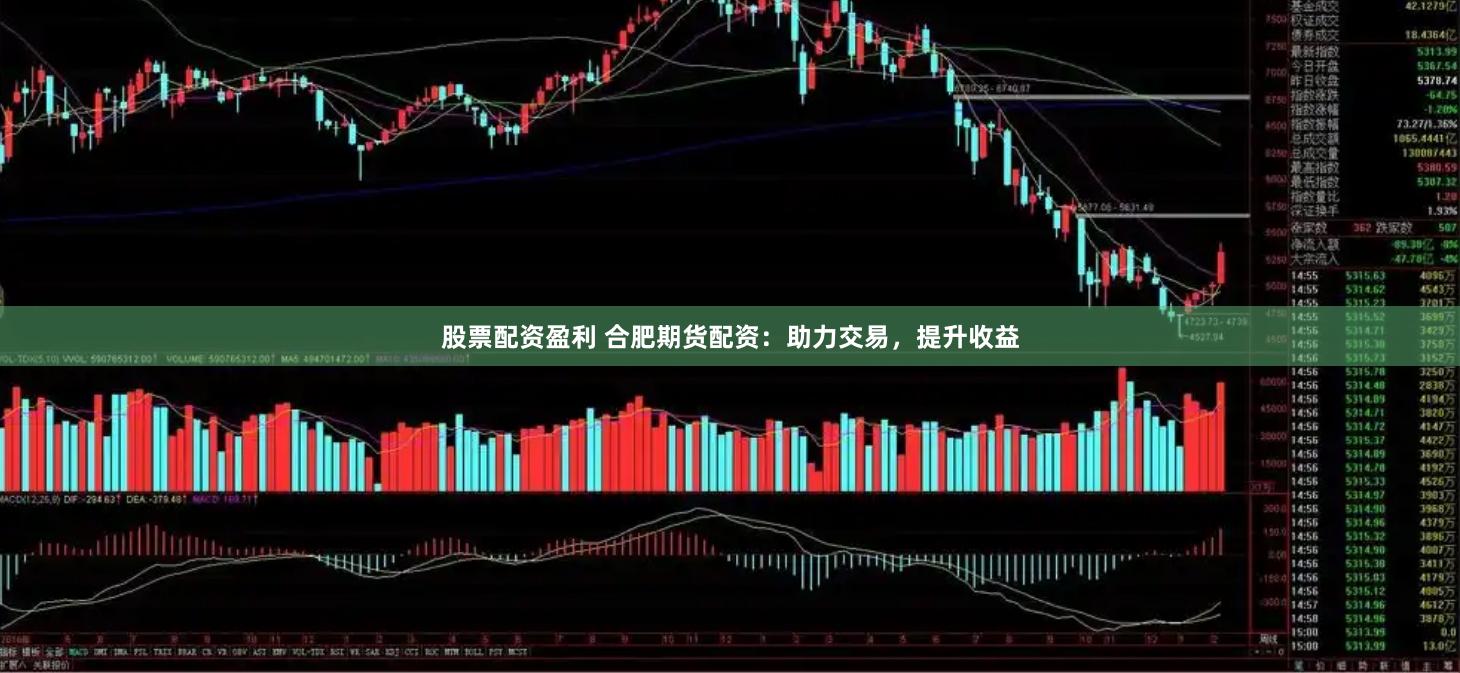 股票配资盈利 合肥期货配资：助力交易，提升收益